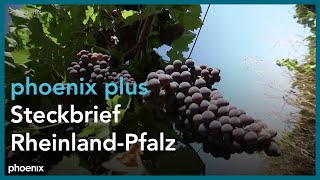 phoenix plus Steckbrief RheinlandPfalz [upl. by Ranita583]