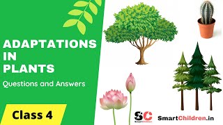 Adaptations in Plants Class 4  40 Solved Questions And Answers [upl. by Iew]