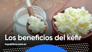 Como hacer Kéfir y todos los beneficios que aporta  Mañanas Públicas [upl. by Jenilee]