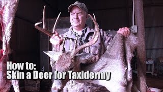 Keith Warren How To Skin A Deer For Taxidermy [upl. by Beatrisa]