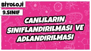 9 Sınıf Biyoloji  Canlıların Sınıflandırılması ve Adlandırılması [upl. by Dlanar]