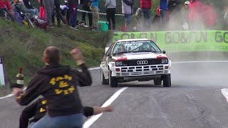 Best of Audi Quattro Rally  Pure Sound [upl. by Odlo726]