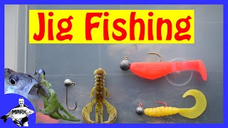 Jig Fishing for Beginners [upl. by Novia]