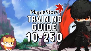 MapleStory Training Guide Level 10 to 250  Reboot amp Regular  GMS [upl. by Mientao500]