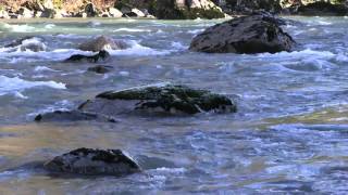 Flowing River 1080p HD Without Music [upl. by Aitnecserc]