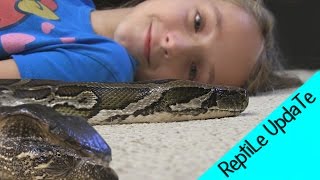 Reptile Collection PT2  THE SNAKE GIRL Krista Guarino [upl. by Llebanna977]