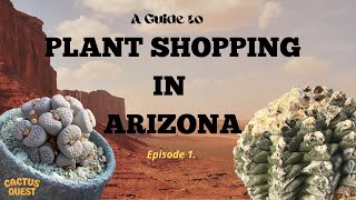 PLANT SHOPPING IN AZ EP 1  Plants for the Southwest nursery Lithops Conophytum Ariocarpus [upl. by Longwood]