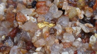 Gold Prospecting Western Australia 2021 pt1 [upl. by Salguod]