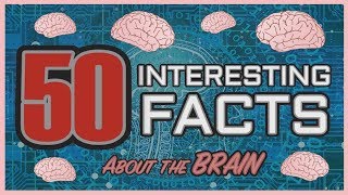 50 Interesting Facts about the Human Brain [upl. by Sundin]