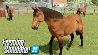 Hodowla koni  Farming Simulator 22  39 [upl. by Cherianne]