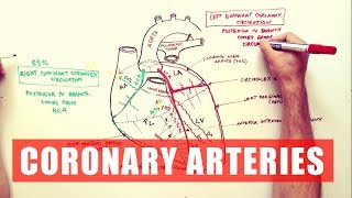 Coronary Arteries  Anatomy Tutorial [upl. by Fazeli]