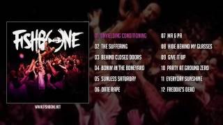 Fishbone  Live In Bordeaux Full Album [upl. by Konstance234]