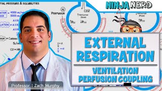 Respiratory  External Respiration Ventilation Perfusion Coupling [upl. by El]