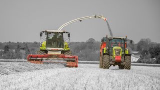 Travaux agricoles de lannée 2019 [upl. by Cnut]