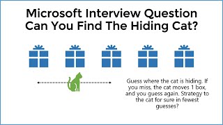 How To Solve The Hiding Cat Puzzle  Microsoft Interview Riddle [upl. by Ahsenahs216]