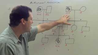 Autosomal Recessive Pedigree [upl. by Ocsisnarf]