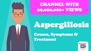 Aspergillosis  Causes Symptoms amp Treatment [upl. by Zetrauq932]