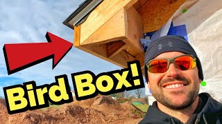 How To Build A Bird Box For Soffit On A House [upl. by Selda]