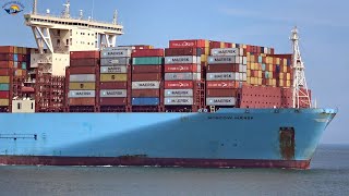 4 MIGHTY Containerships Arrival and Departure  Shipspotting ROTTERDAM May 2021 [upl. by Neeluqcaj]