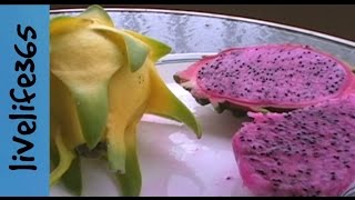 How toPrepare amp Eat Dragon Fruit [upl. by Assenov172]