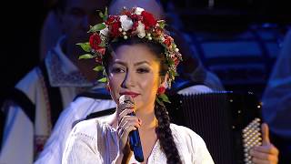 Andra  Saraca Copilarie Concert Traditional [upl. by Ailemak888]