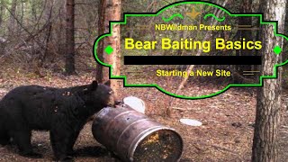 Bear Baiting Basics a Beginners Guide [upl. by Reinar]