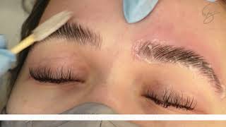 Eyebrow Lamination amp Henna Bee Eyebrow Tint in ONE service [upl. by Ayahc]