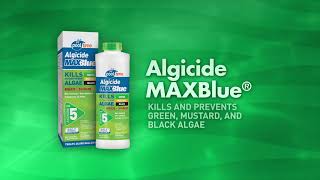 STEP 5 – ALGICIDE Pool Time® [upl. by Andree]