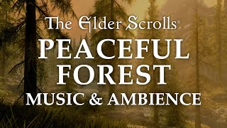 The Elder Scrolls Music amp Ambience  Peaceful Forest 5 Beautiful Scenes with Calm Music Mix 6 Hrs [upl. by Ephrem]