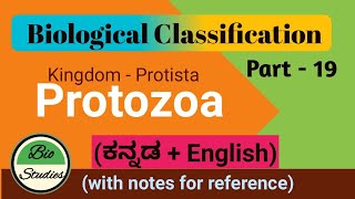 in Kannada Class 11 Biological Classification Part 19 Protozoa [upl. by Llenrahc]