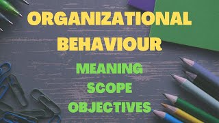 Organizational Behaviour I Organizational Behaviour Chapter 1 [upl. by Imalda607]