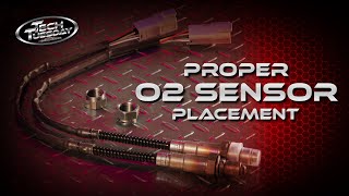 Proper O2 Sensor Placement [upl. by Grube]