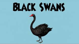 Black Swans in Risk Management [upl. by Zulch]