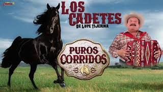 LOS CADETES DE LINARES  PUROS CORRIDOS PLAYLIST OFICIAL [upl. by Skyler772]