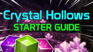 Crystal Hollows Starter Guide The Important Stuff  Hypixel Skyblock [upl. by Garik160]