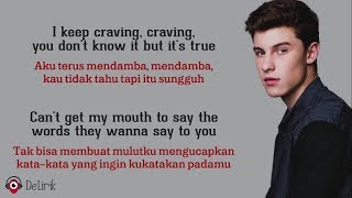 Imagination  Shawn Mendes Lyrics video dan terjemahan [upl. by Gaspard860]