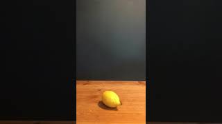 Help i accidentally summoned a lemon [upl. by Ethbin]