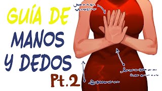 La Guía Definitiva de LENGUAJE CORPORAL 2 Manos y Dedos [upl. by Rosalyn]